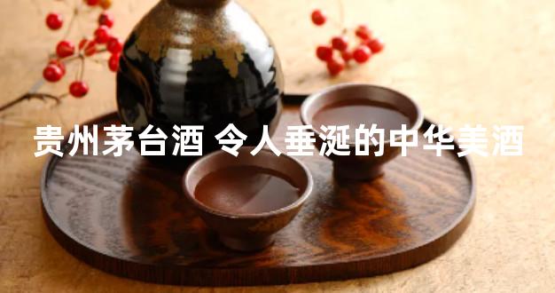 贵州茅台酒 令人垂涎的中华美酒